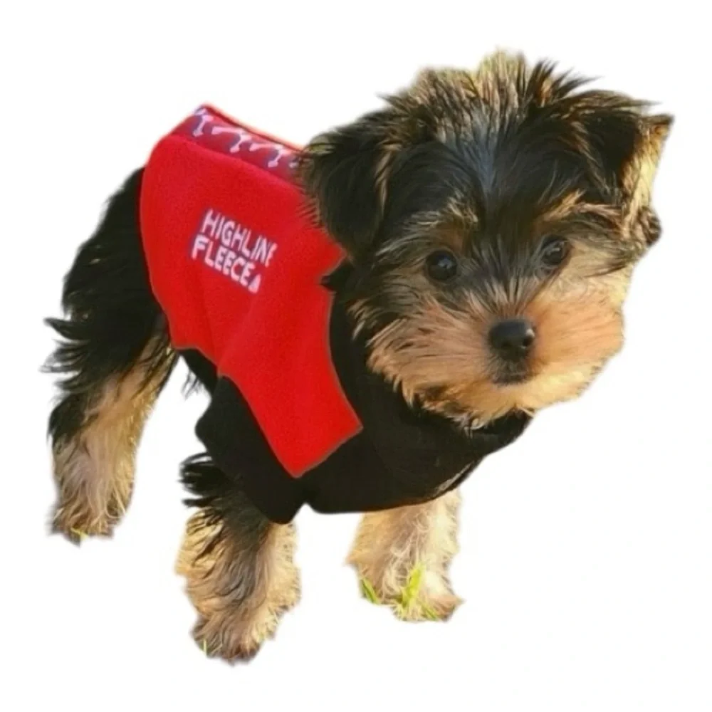 HIGHLAND FLEECE Dog Coat by DOGGIE DESIGN in Red w/Black Trim - Velcro Closure